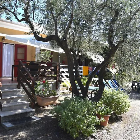 L'oleandra