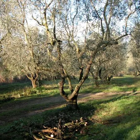 Appartamento L'oleandra *