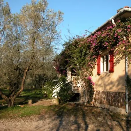 L'oleandra