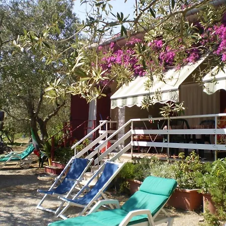 L'oleandra * Lacona