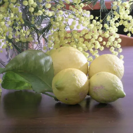 L'oleandra Appartamento Lacona