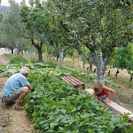 Appartamento L'oleandra *