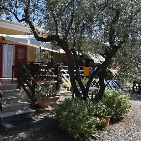 L'oleandra *